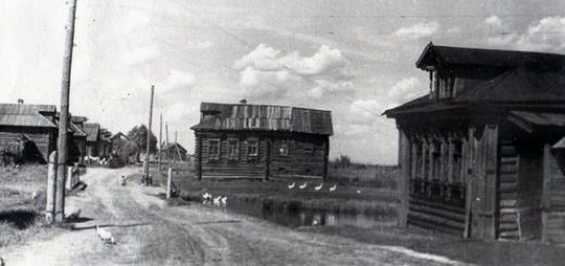 Фотография "Матренин двор"