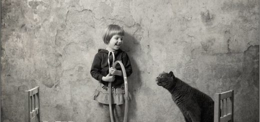 дружба, черно-белое фото