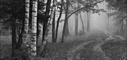 Природа, русский пейзаж, черно-белое фото