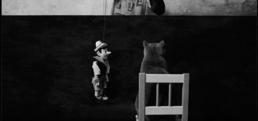 ребенок и кот