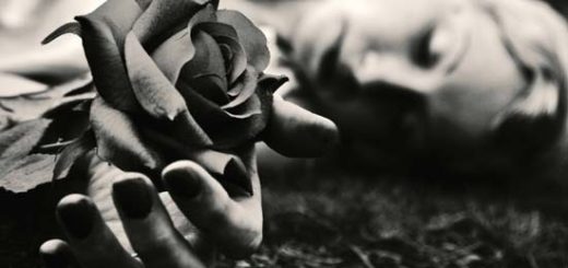 женщина и роза, черно-белое фото