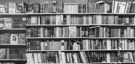 книжный шкаф