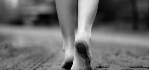 путь, следы, странник