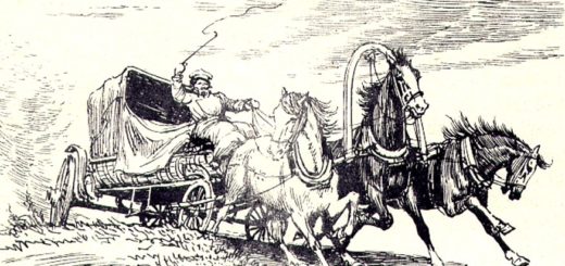 птица-тройка, образ Руси в поэме Гоголя "Мертвые души"