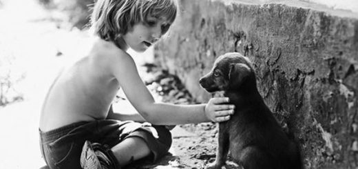 Милосердие, сочувствие, отзывчивость