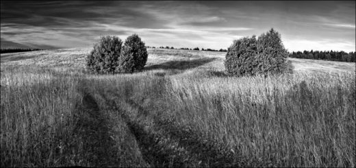 природа, пейзаж, родина