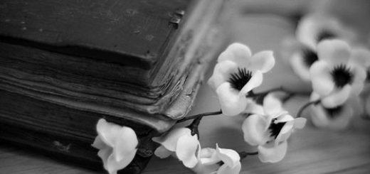 книга, чтение, духовная жизнь