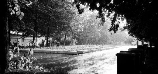 лето, июль, парк