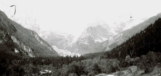 Кавказ, горы, лес, природа