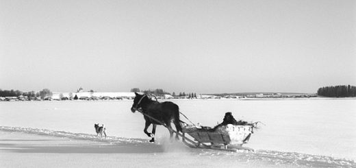 крестьянин на упряжке