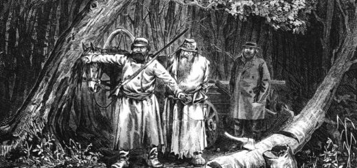 иллюстрация к рассказу Тургенева Бирюк