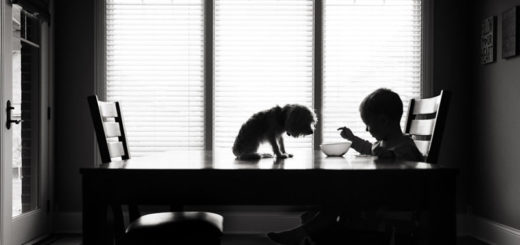 доброта, забота, любовь