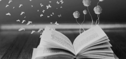 красивое фото книги